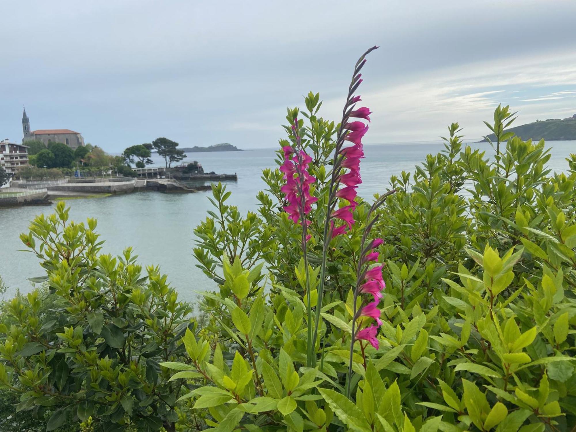 Mundaka Beachfront House Buitenkant foto