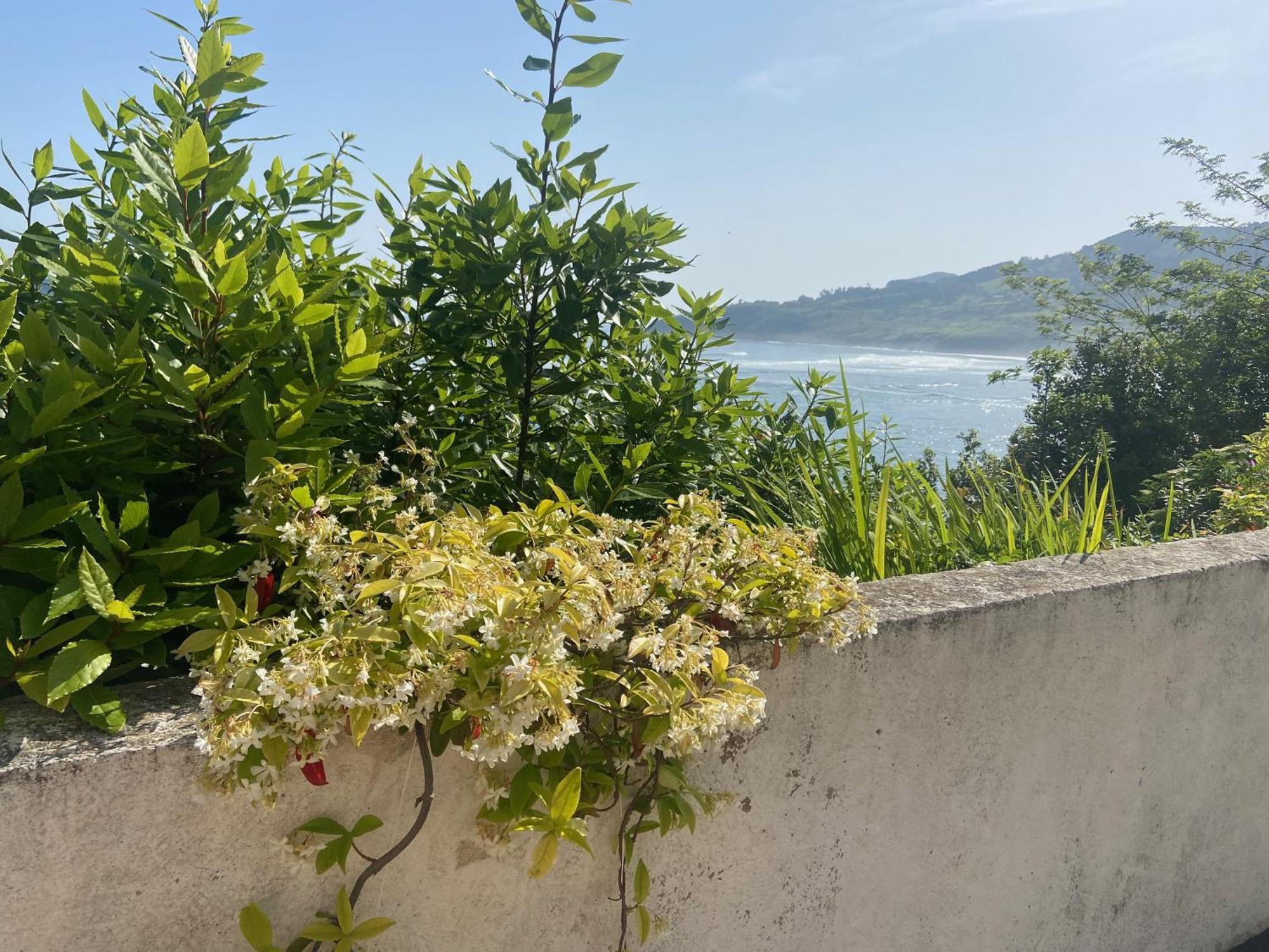 Mundaka Beachfront House Buitenkant foto